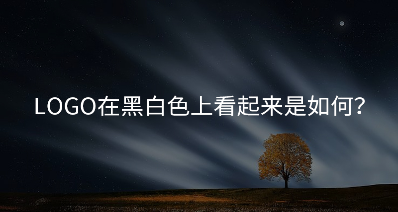 LOGO在黑白色上看起來是如何？