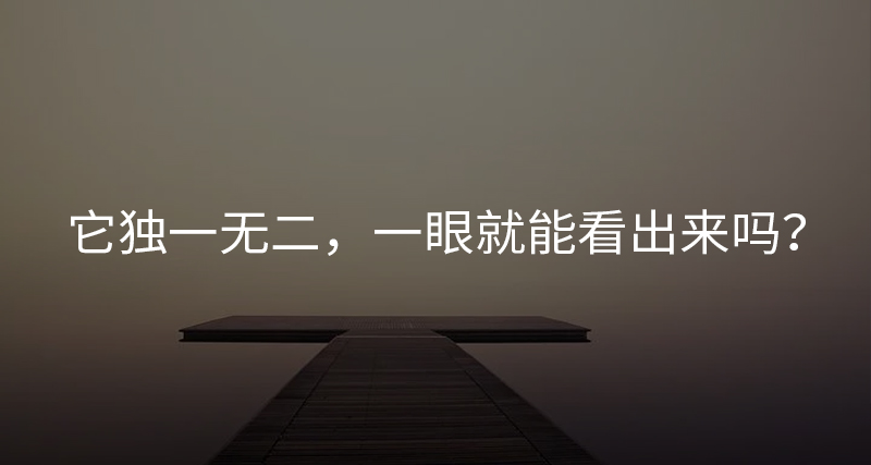 它獨一無二，一眼就能看出來嗎？