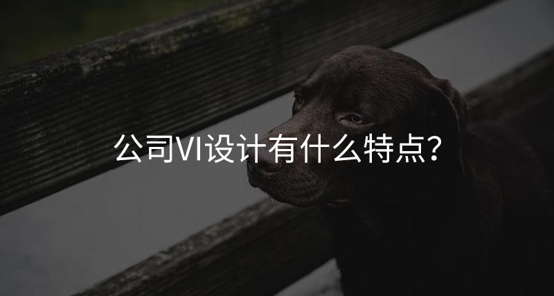 公司vi設(shè)計(jì)有什么特點(diǎn)？